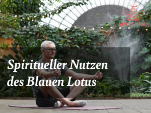 Spiritueller Nutzen des Blauen Lotus